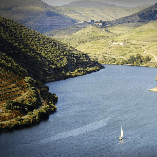 Douro à Vela 